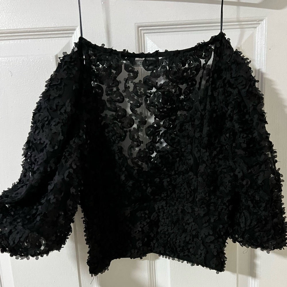 Zara Texture Tulle Puff Sleeves Crop Top